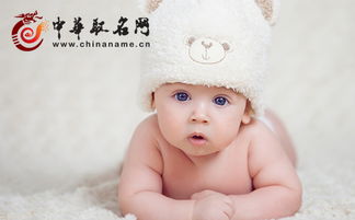 狗狗宝宝取名，有哪些好听又独特的方法？