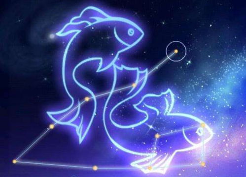 双鱼情网中的神秘嘉宾，究竟哪个星座能让双鱼傻傻爱上？
