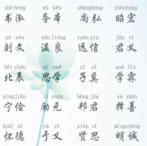 鲁刘姓氏如何巧妙融合，给宝宝取一个独特好名？