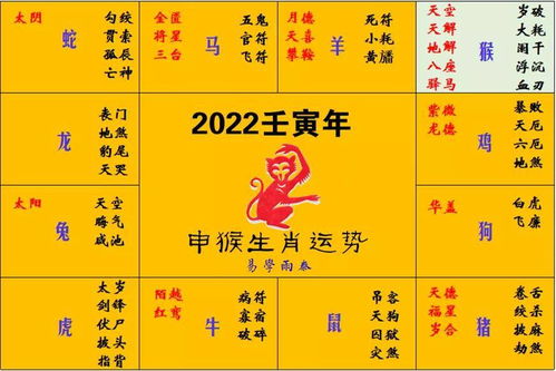 今日各生肖运势2022，揭秘十二生肖今日运势，你运势如何？