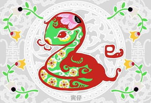 属蛇的八字合不合婚缘，揭秘你的爱情运势之谜！