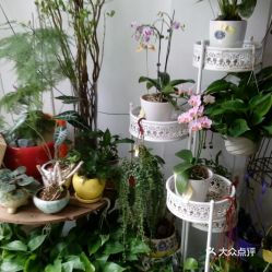 附近最近的鲜花店在哪里