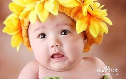 段姓宝宝，如何为小小子取一个温馨又个性的小名？